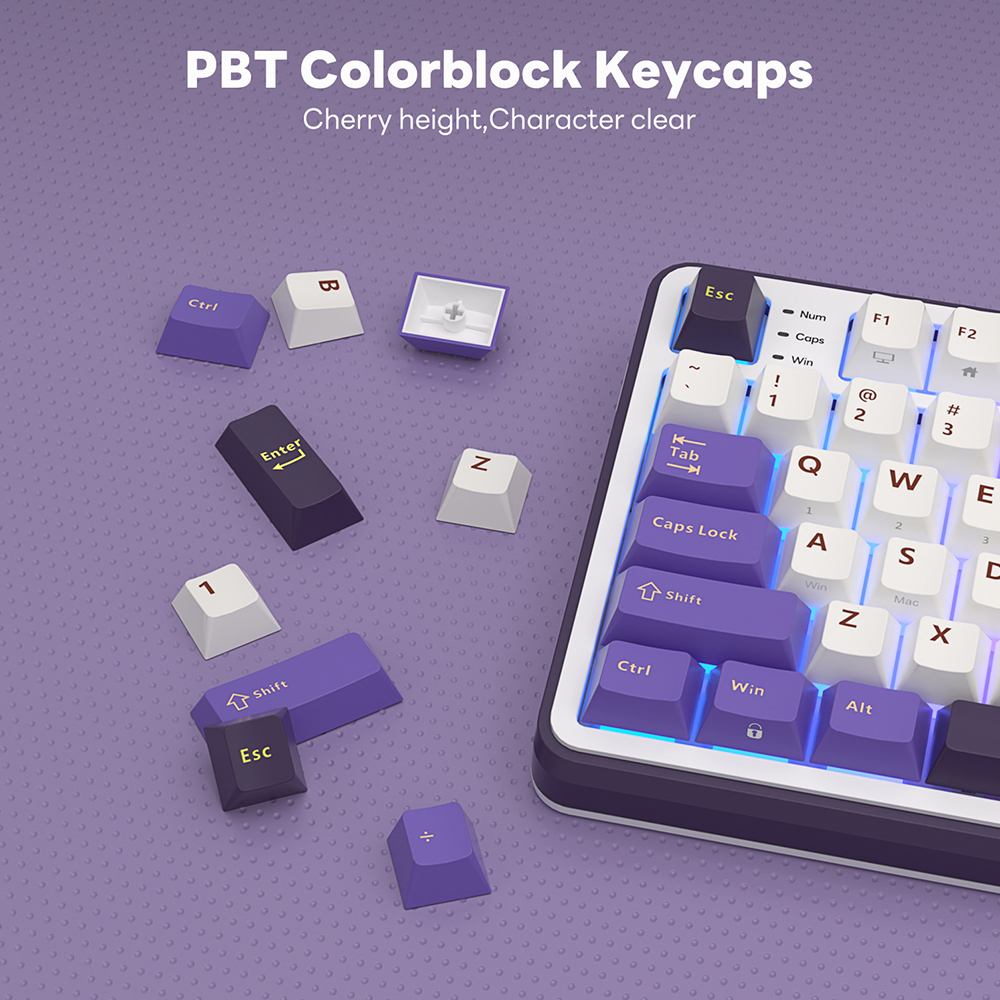 RK S98 ROYAL KLUDGE Wireless G - đánh giá và giá Gaming Keyboard Budget